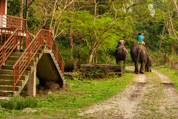 6th April, 2022, Dhupjhora, West Bengal, India: Tourists going for elephant ride safari at Garumara National park, West Bengal India from Dhupjhora elephant camp. © Rima