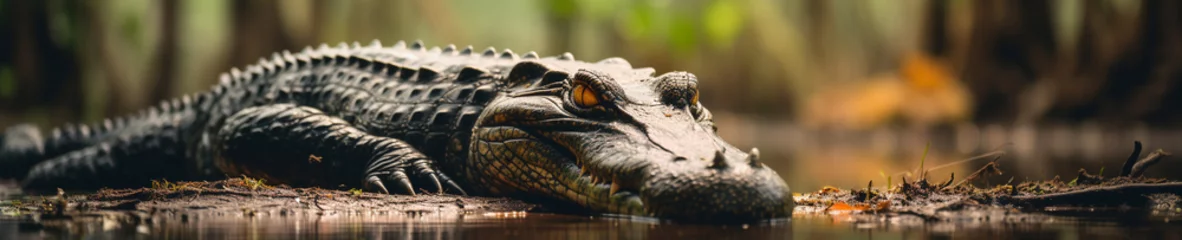 Fotobehang A Banner Photo of an Alligator in Nature © Nathan Hutchcraft