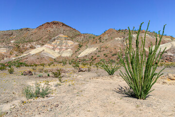 Big Bend National Park