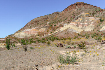Big Bend National Park