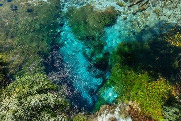  River with transparent waters of The Blue eye, a natural phenomenon in the mountains of southern Albania