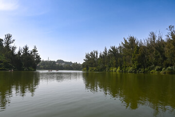 lake in the forest