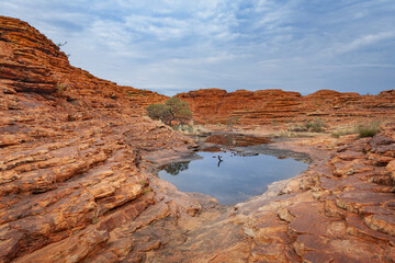 Fototapeta na wymiar Natural water source located among the arid Kings Canyon, Northern Territory, Australia