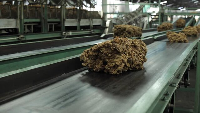 The natural rubber bales products on the industrial automatic conveyor belt machine in a rubber factory.