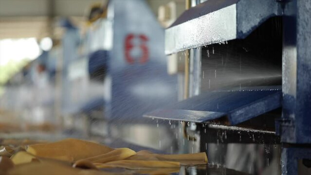 The close up view of the natural rubber sheet cleansing process by the auto industrial cleaning machines in a factory.