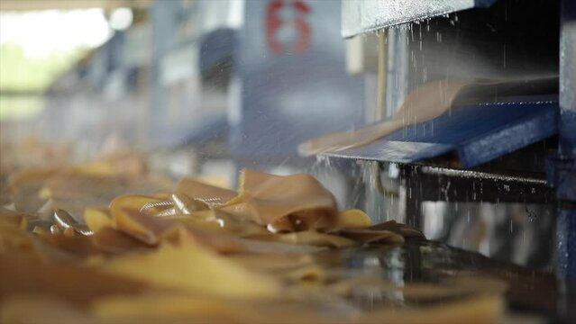 The close up view of the natural rubber sheet cleansing process by the auto industrial cleaning machines in a factory.