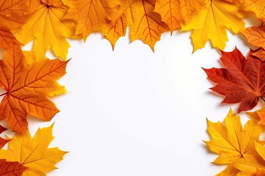 A white background with an autumn leaf frame is seen from above. A copy space based prototype of your design an antique table with an orange and yellow leaf border anime style artwork or text