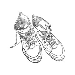 Sneakers graphic drawing by hand. Vector illustration.