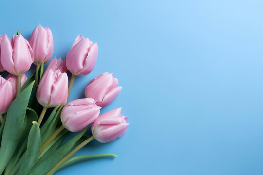 Delight Images