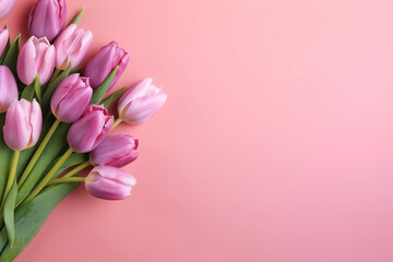 Pink Passion Tulips: A Symphony of Colorful Blooms