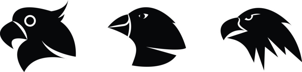 Simple Bird's Head Illustration © Asadancs