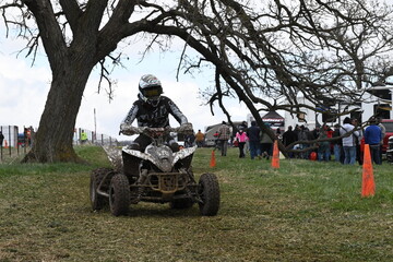 atv rider riding underneath a tree © Sabrina