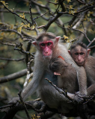 parent and baby