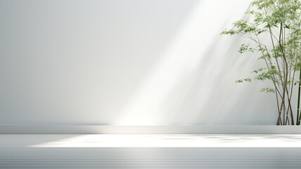 Fond abstrait pour la présentation de produits. Avec ombres et lumières des fenêtres, avec une grande plante verte, mur blanc.