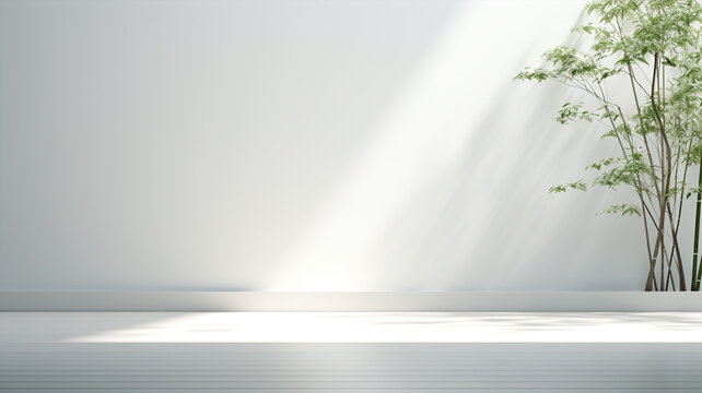 Fond abstrait pour la pr&eacute;sentation de produits. Avec ombres et lumi&egrave;res des fen&ecirc;tres, avec une grande plante verte, mur blanc.