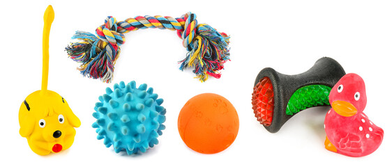 Set of dog toys isolated on white . Collage. Wide photo.