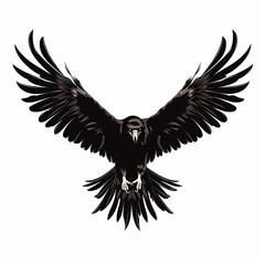 Obraz premium black eagle in flight isolated on white