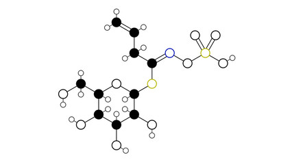 sinigrin molecule, structural chemical formula, ball-and-stick model, isolated image allyl glucosinolate