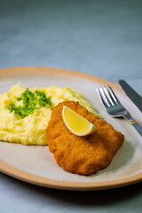 Typical Czech cuisine chicken cutlet with mashed potatoes