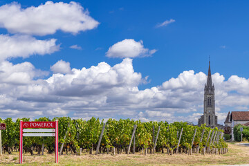 Typical vineyards near Pomerol, Aquitaine, France