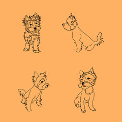 Set of four seated poses of the Yorkshire Terrier. Linear sketches of a small dog