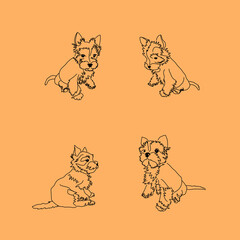 Set of four seated poses of the Yorkshire Terrier. Linear sketches of a small dog