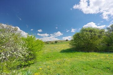 Beautiful spring nature landscape