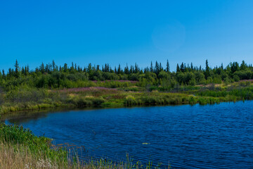 Fototapeta premium Beautiful lake sparkles in sunshine in Behchoko, Northwest territories, Canada
