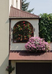 Fototapeta na wymiar fragment of house with decorative arrangement blooming potted plants