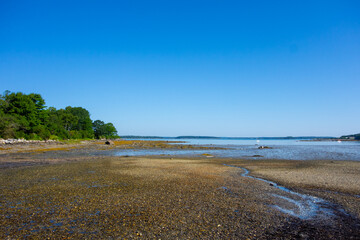 A bay during low tide in Harpswell, Maine.