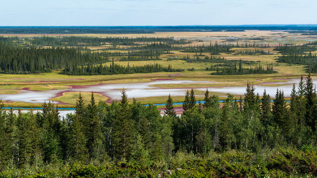 Beautiful crystalline desert salt plains in Wood Buffalo National Park, Canada