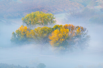 Autumn landscape in Langhe, Piedmont, Italy