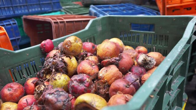 food waste, spoiled vegetables and fruits. reducing food waste in produce. agriculture industry, food crisis, vegetable crops, apple harvest. 
