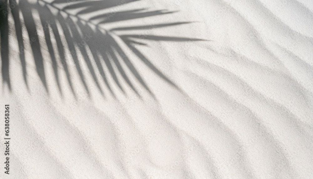 Wall mural palm leaf shadow on abstract white sand beach background, sun lights on water surface, beautiful abs - Wall murals