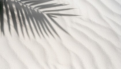 palm leaf shadow on abstract white sand beach background, sun lights on water surface, beautiful abstract background concept © sinthi
