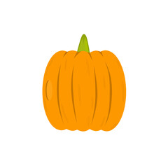 pumpkin vector