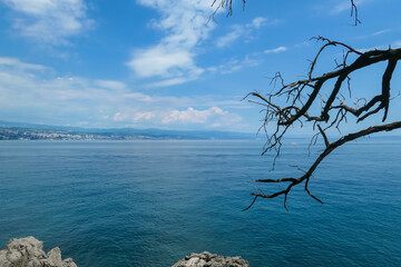 A panoramic view of the Croatian shore. There are some towns located on the shore of the Mediterranean Sea. A tree branch entering the frame. The tree seems to be dried out. Calm surface of the sea.