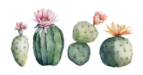 Set of green cacti with flower buds, watercolor illustration - 638076323