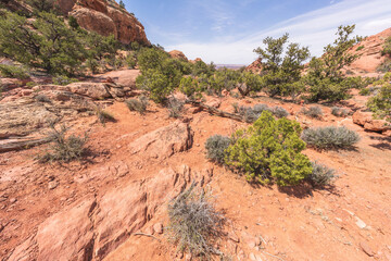 hiking the syncline loop trail in island in the sky district of canyonlands national park, utah, usa