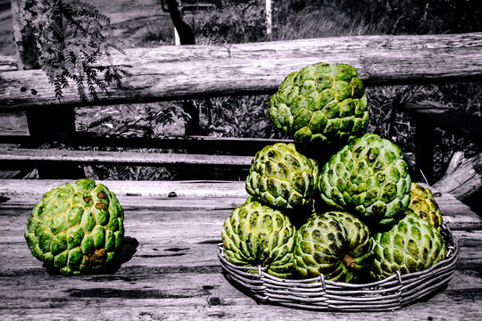 Pile of frutas do conde (custard apple) by the side of the road in Bahia, Brazil.