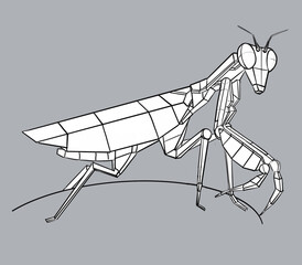 mantis constructive drawing black and white illustration