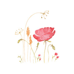 Watercolor wildflowers with poppy illustration - hand drawn on white background. Floral border.