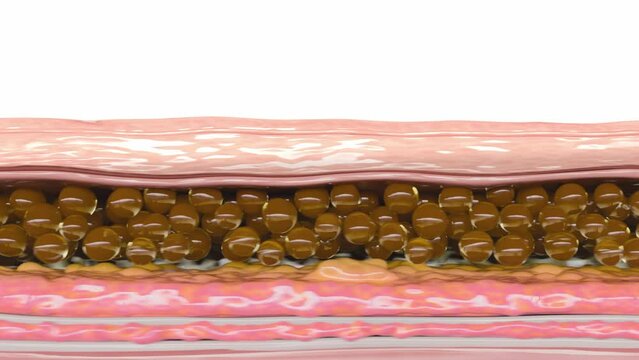 An intricate 3D animation illustrates skin rejuvenation: wrinkles fade, showcasing the potent effects of anti-aging treatments
