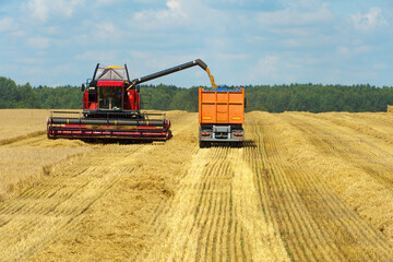 A combine harvester pours grain into a truck trailer. Harvesting, harvesting, storage, drying of...