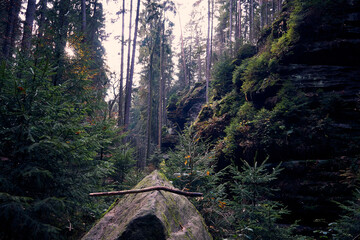 Uttewalder Grund, Sächsische Schweiz, Deutschland