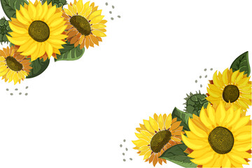 Sunflowers at corners of the border. Template with Place for text on white background. Like watercolor. Summer bright wildflowers. Bouquet of heads of yellow flowers. Invitation. Vector illustration.