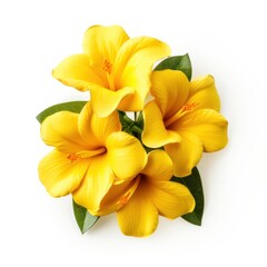 bouquet of yellow flowers generative ai