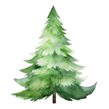 Christmas tree watercolor illustration. clipart for design. elements. isolated on transparent background. Generative ai.