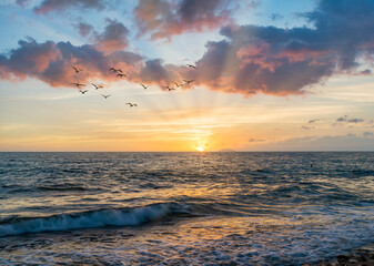 Obraz premium Tres Palmas Beach Sunset in Rincon, .west coast,.Puerto Rico,USA,Caribbean