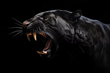 Poster Black Panther Roar Portrait on Black Background © fotoyou